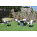 Synthetic Poly Rattan Coffee/Dining Set For Outdoor Garden